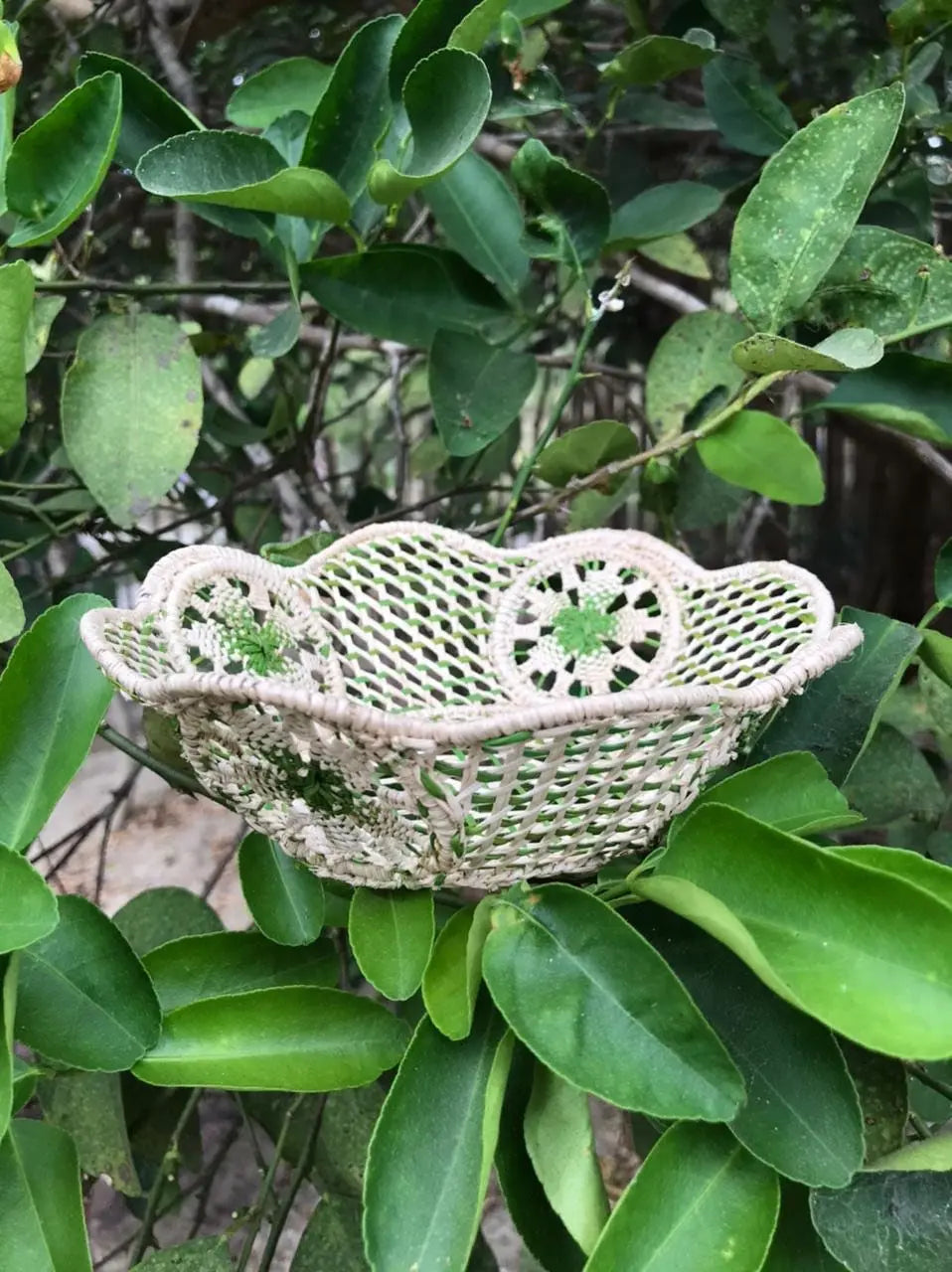 Iraca/Straw Bread Basket - Best of Colombia